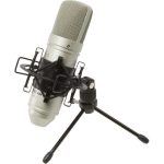 Microfone Condensador Cardioide de Grande Diafragma TASCAM TM-80