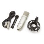 Microfone Condensador Cardioide de Grande Diafragma TASCAM TM-80 - Imagem 4
